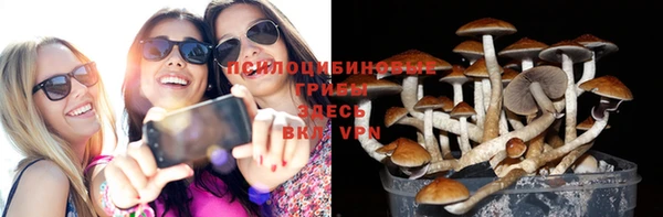 мдпв Волосово