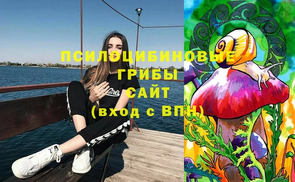 дмт Волоколамск