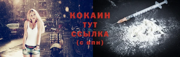 твердый Володарск