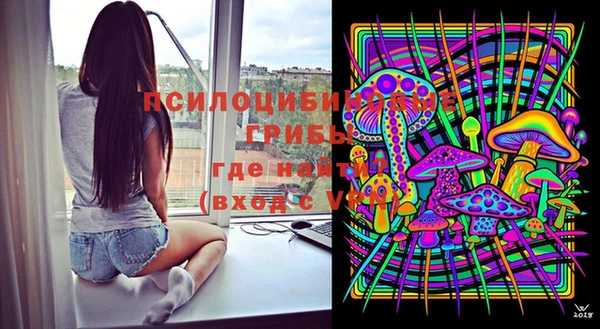 Альфа ПВП Верея