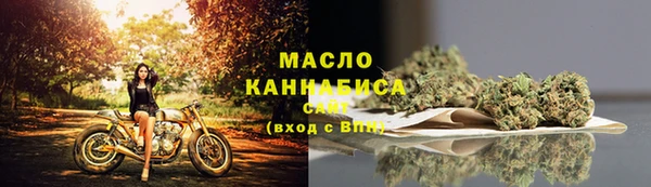 твердый Володарск